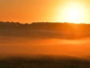 O que é solstício de verão e por que hoje será o dia mais longo do ano?