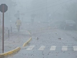 Avião cai e provoca incêndio em Gramado, no Rio Grande do Sul; veja vídeos