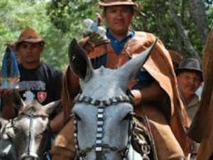 Devoção da Santa Cruz da Baixa Rasa, em Crato, resgata a religiosidade no coração da Flona Araripe