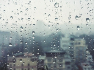 Boa chuva no Sítio Coité pela manhã, veja todas as precipitações de hoje em Barbalha