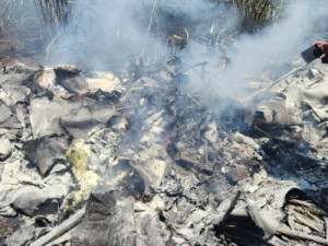 Avião de pequeno porte cai e mata duas pessoas no interior de SP