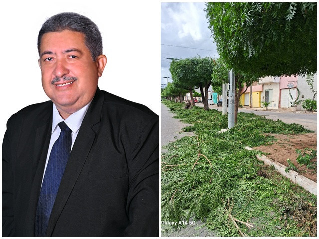 Moradores pedem, vereador solicita poda de árvores e a Gestão Municipal atende