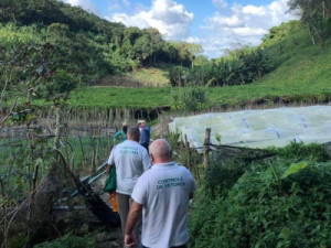 Febre oropouche ultrapassa 500 casos confirmados no Ceará em 2025; veja cidades