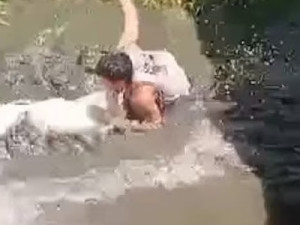 Turista confunde crocodilo de 4,5 metros com escultura, invade recinto e é atacado nas Filipinas