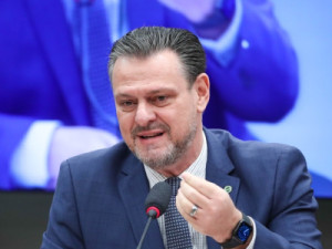 Gripe aviária: primeiros 15 dias após a doença serão decisivos, afirma ministro da Agricultura