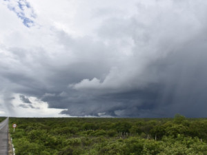 Barbalha registra chuva de 70mm na zona rural