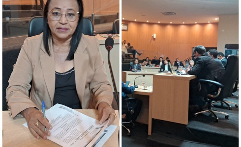 Melhorias e cuidado com Areninha das Cabeceiras solicita Gely de Freitas