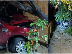 Motorista atropela e mata jovem de 18 anos; homem foi preso com cerveja e cocaína