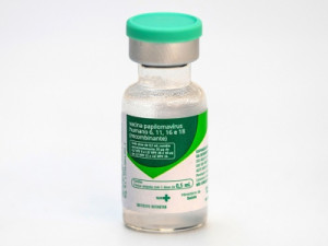 Vacina contra HPV: mais de 128 mil adolescentes ainda não se imunizaram no Ceará; veja onde se vacinar