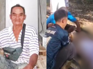 Agricultor é encontrado morto após ser engolido por píton de 8 metros na Indonésia