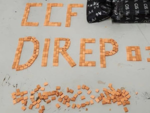 Receita Federal apreende 3 mil comprimidos de ecstasy em encomenda enviada do RJ para o CE