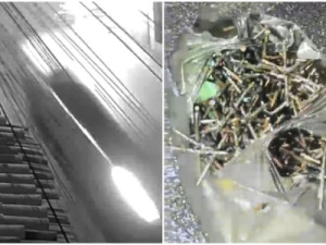 Adolescentes em carro roubado jogam pregos para furar pneus de viatura durante perseguição; um morreu