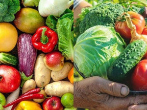 Prefeitura de Barbalha faz chamada pública para aquisição de alimentos da Agricultura Familiar