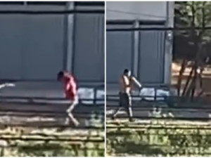 Homem é preso após atacar prima com golpes de foice no interior do Ceará