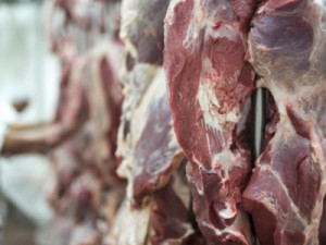 China impulsiona exportações de carne de MS e compensa queda nas compras dos EUA após tarifaço