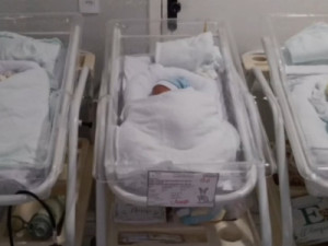 Cearense que ouviu de médico que não poderia engravidar supera câncer e celebra nascimento de trigêmeos