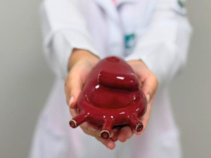 Síndrome do ‘coração partido’: entenda doença que pode ser causada por estresse intenso