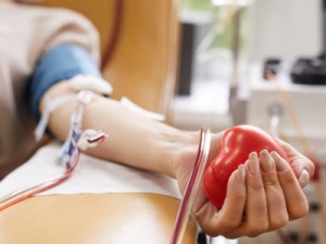 Amanhã tem campanha de doação de sangue na Faculdade de Medicina de Barbalha