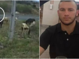 Motociclista morre ao colidir com cavalo na mesma rodovia em que a mãe morreu em acidente no Ceará