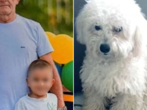 Pai e filho morrem em colisão entre carros em rodovia no Ceará