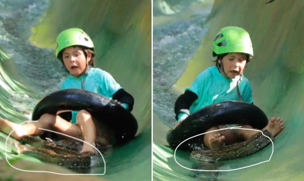 Menino se depara com cobra enorme em toboágua; vídeo acumula 125 milhões de views