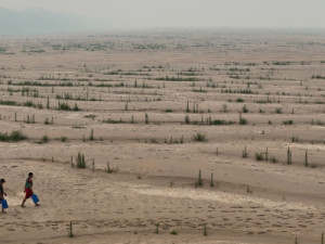 Mundo entrou em estado de 'falência hídrica', alertam pesquisadores da ONU