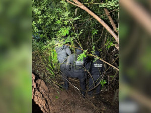 Corpo de corretora que estava desaparecida em Caldas Novas é encontrado em área de mata, diz delegado