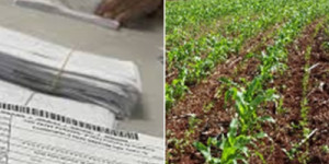 Prefeitura de Barbalha continua entregando boleto do Garantia Safra