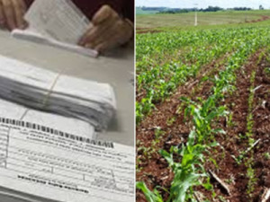 Prefeitura de Barbalha continua entregando boleto do Garantia Safra