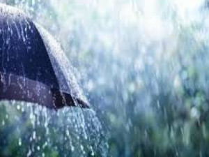 Boletim de chuvas da Cogerh na Região do Cariri, ontem (11)