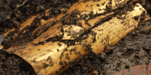 Tumba de 1.000 anos cheia de peças de ouro é descoberta no Panamá