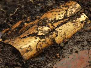 Tumba de 1.000 anos cheia de peças de ouro é descoberta no Panamá