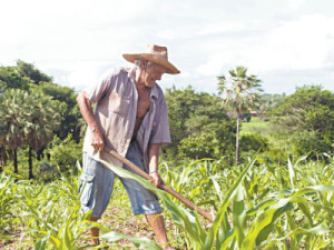 Banco do Nordeste através do AgroAmigo faz palestra para agricultores no Sítio Taquari