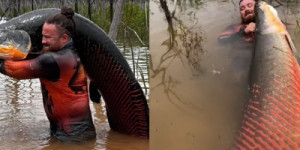 Biólogo pesca peixe de mais de 2 metros em rio de MT e viraliza nas redes sociais