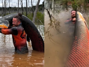 Biólogo pesca peixe de mais de 2 metros em rio de MT e viraliza nas redes sociais