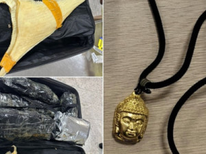 PF prende estrangeira com ouro e 50 kg de barbatanas de tubarão, ingrediente de sopa considerada iguaria na China