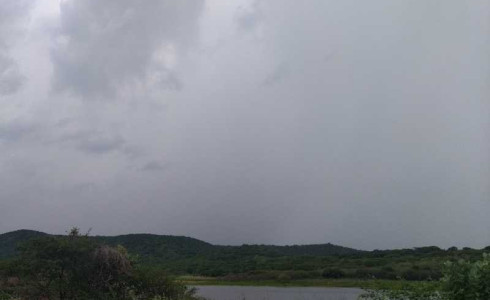 Funceme registrou chuva em 66 localidades do Cariri, a maior em Brejo Santo, quinta-feira (5); veja