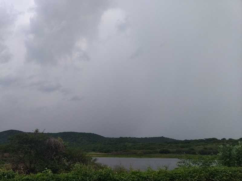 Funceme registrou chuva em 66 localidades do Cariri, a maior em Brejo Santo, quinta-feira (5); veja