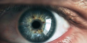 O que são 'moscas volantes' na visão e quando devo consultar um médico?