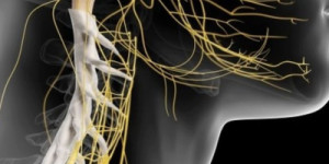 Por que 'ativar' o nervo vago se tornou a mais nova tendência de bem-estar