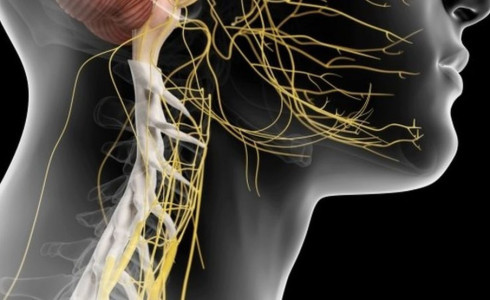 Por que 'ativar' o nervo vago se tornou a mais nova tendência de bem-estar