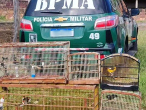 Polícia Ambiental e ONG devolvem mais de 40 aves a natureza no Cariri