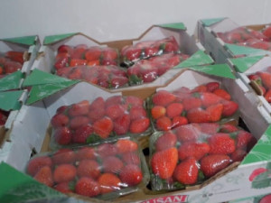 Morango importado do Egito derruba preços e deixa fruta produzida no ES menos competitiva no mercado