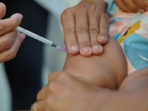 Ceará inicia vacinação contra gripe para grupos prioritários nesta semana