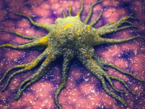 Cientistas descobrem molécula que 'mata de fome' células cancerígenas sem afetar tecidos saudáveis