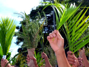 Procissão de Ramos da Capela de Santa Terezinha hoje à tarde