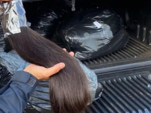 Cabelos humanos ilegais: PF investiga esquema de contrabando em Corumbá