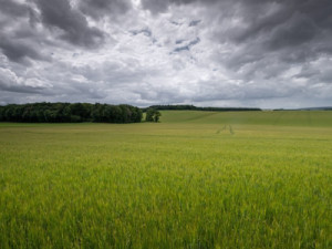 Primeiro de abril deve ter chuva forte em todo o país; veja previsão para quarta-feira