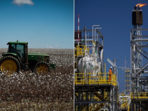 Em meio a abalo global, Brasil se destaca no radar de investidores internacionais