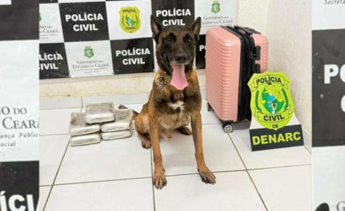 Com auxílio de cão farejador, Polícia Civil prende mulher e apreende quase 6 kg de drogas em Tauá